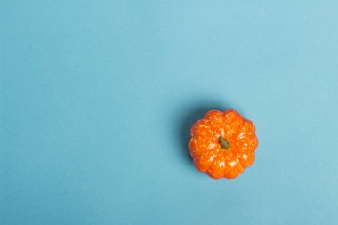 Mavi arka planda dekoratif balkabağı. Cadılar Bayramı konsepti, hasat, sonbahar. Düz döşeme, üst görünüm