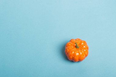 Mavi arka planda dekoratif balkabağı. Cadılar Bayramı konsepti, hasat, sonbahar. Düz döşeme, üst görünüm