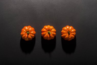 Siyah bir arka plan üzerinde dekoratif kabaklar. Cadılar Bayramı konsepti, hasat, sonbahar. Düz döşeme, üst görünüm