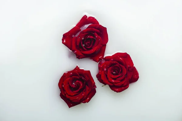 Belle rose rosse in un bagno di latte. Concetto di trattamenti termali, relax, trattamenti termali, terapia — Foto Stock