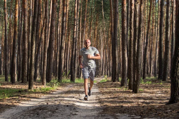 Hombre Hace Ejercicio Matutino Bosque Pinos Concepto Matins Corriendo Aire — Foto de Stock