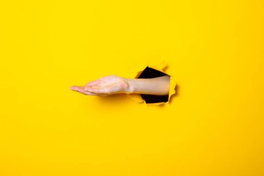 Erkek eli açık, avuç içi sarı arka planda. İşaret dili.