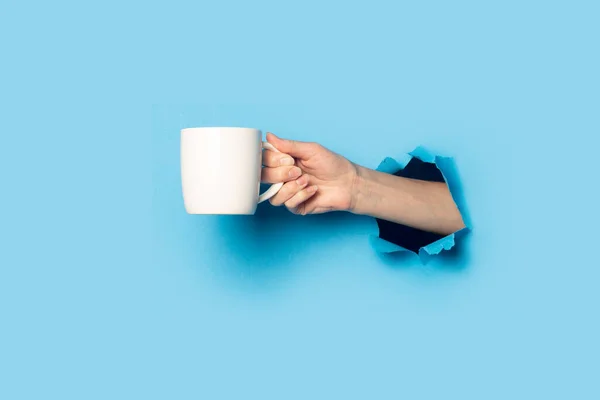 Weibliche Hand Hält Eine Weiße Tasse Auf Hellblauem Hintergrund — Stockfoto
