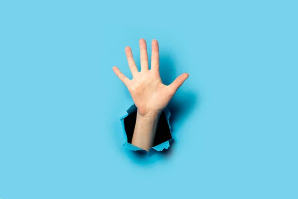 Palma Mujer Sobre Fondo Azul Hurra Gesto Cinco Dedos — Foto de Stock