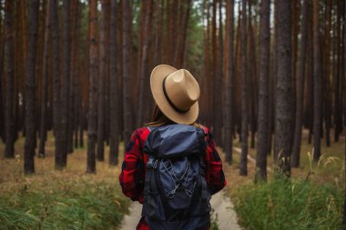 Şapkalı, kırmızı gömlekli ve sırt çantalı genç bir kadın çam ormanında. Ormanda kamp yapmak..