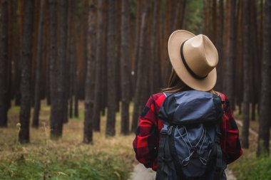 Şapkalı, kırmızı gömlekli ve sırt çantalı genç bir kadın çam ormanında. Ormanda kamp yapmak..