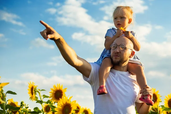 Young man with glasses holds a child on his shoulders and points with his hand to something on a sunflower field.