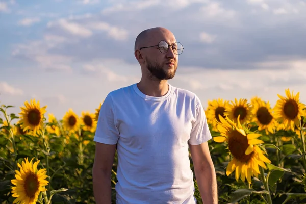 Young man with glasses on a sunflower field at sunset.
