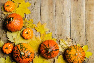 Olgun balkabakları, sonbahar yaprakları ve ahşap bir arka planda saman. Hasat konsepti, sonbahar, Cadılar Bayramı arifesi. Pankart. Düz yatış, üst görünüm.