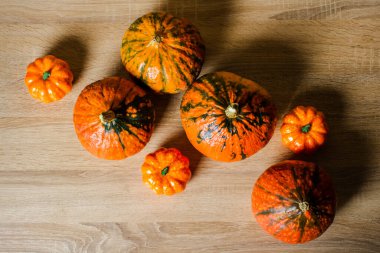 Ahşap bir arka planda balkabakları. Hasat konsepti, sonbahar, Cadılar Bayramı arifesi. Pankart. Düz yatış, üst görünüm.