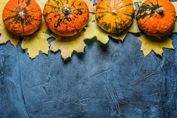 Citrouilles Feuilles Automne Sur Fond Pierre Bleu Foncé Concept Automne — Photo