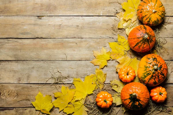 Citrouilles Mûres Feuilles Automne Paille Sur Fond Bois Concept Récolte — Photo