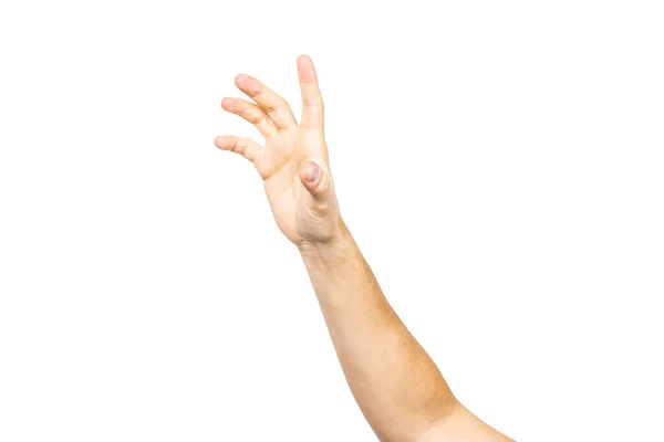 Leere Männliche Hand Die Handflächen Nach Oben Hält Die Hand — Stockfoto