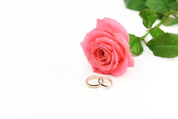 Bagues Mariage Pour Les Jeunes Mariés Avec Une Fleur Rose — Photo