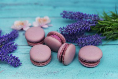 Macaron kurabiye tatlı pembe Lila Pembe çiçekler Lavanta bir koyu siyah zemin üzerine Fransız