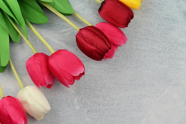 Banner flores tulipa em um fundo cinza — Fotografia de Stock