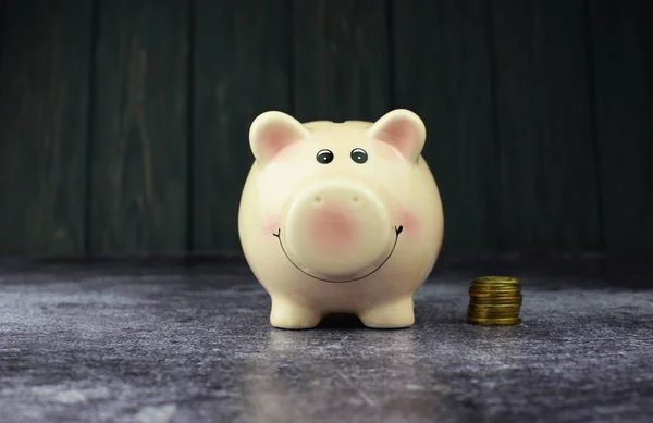 pink piggy bank with coins for investment and a bank