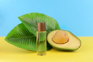 olgun meyve yeşil avokado 