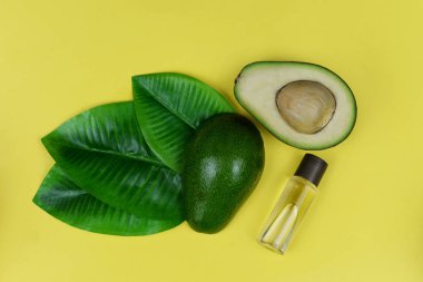 olgun yeşil avokado meyve 