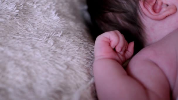 Newborn Baby Lies Moves Little Hands Fingers — Stock Video