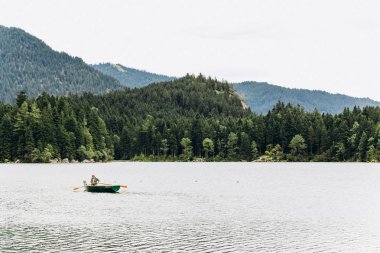 Almanya, Münih - 02 Eylül 2013. Karlı dağlar ve çam ağacı orman evleri Bavyera gölde tarafından