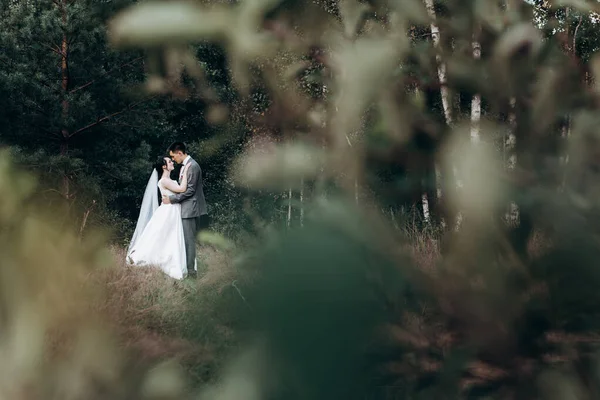 夏の森の中を歩く結婚式。夏の結婚式の写真撮影。新婚夫婦. — ストック写真