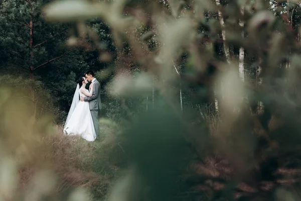 Promenade de mariage dans la forêt d'été. Séance photo de mariage en été. Couple nouvellement marié . — Photo