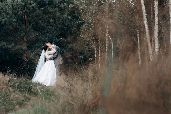 Promenade de mariage dans la forêt d'été. Séance photo de mariage en été. Couple nouvellement marié . — Photo