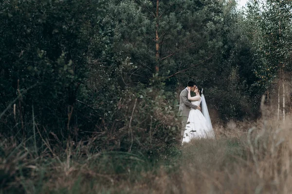 Bruiloftswandeling in het zomerwoud. Trouwen fotoshoot in de zomer. Pasgetrouwd stel. — Stockfoto