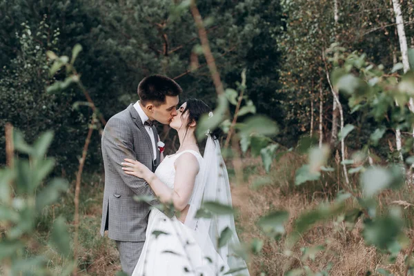 Promenade de mariage dans la forêt d'été. Séance photo de mariage en été. Couple nouvellement marié . — Photo