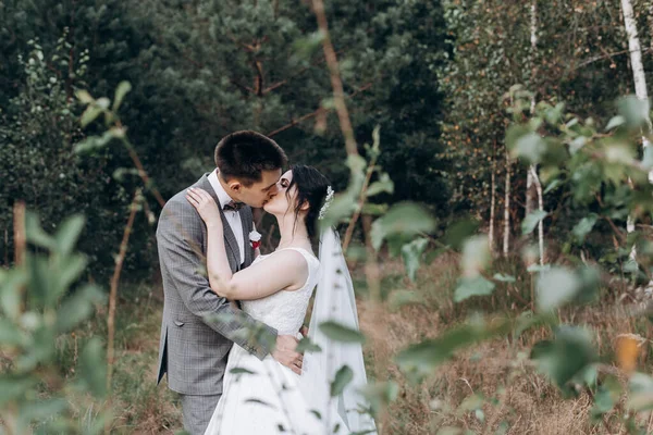 夏の森の中を歩く結婚式。夏の結婚式の写真撮影。新婚夫婦. — ストック写真