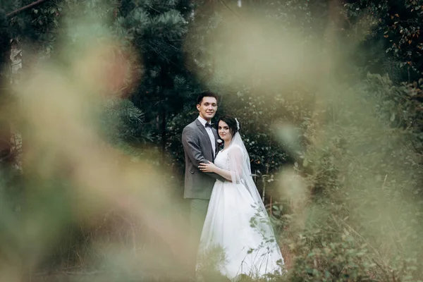 Promenade de mariage dans la forêt d'été. Séance photo de mariage en été. Couple nouvellement marié . — Photo