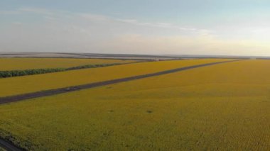 Ayçiçeği hava alanından