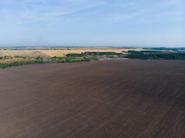 Groene bos veld is zwart met lucht — Stockfoto