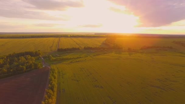 Feld Sonnenuntergang Russland aus der Luft — Stockvideo