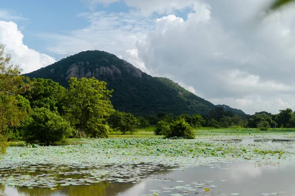 Perkebunan reservoir Castlereigh di pegunungan Sri lanka — Stok Foto