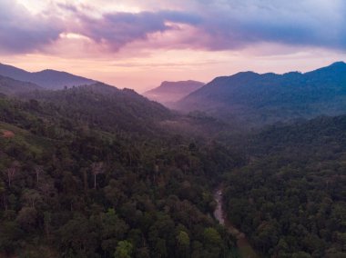 Sinharaja yağmur ormanı doğa rezerv günbatımı dağlar orman eski orman Sri Lanka havadan görünümü