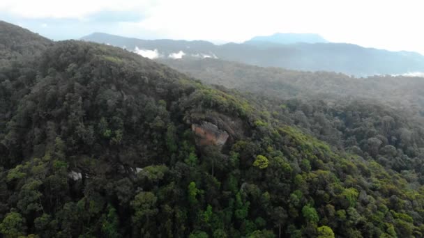 Sinharaja regnskog naturreservat Sri Lanka Flygfoto på Sunset berg djungel forntida skog — Stockvideo