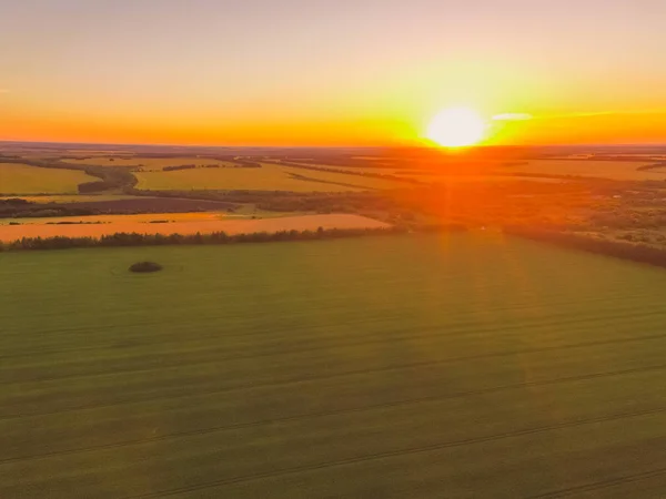 Typische Russische landschap dorp, veld en bos, bovenaanzicht — Stockfoto