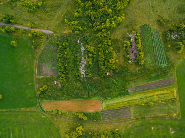 Luchtfoto van kronkelende weg onder het bos en de bomen. Zonsondergang veld in Litouwen — Stockfoto