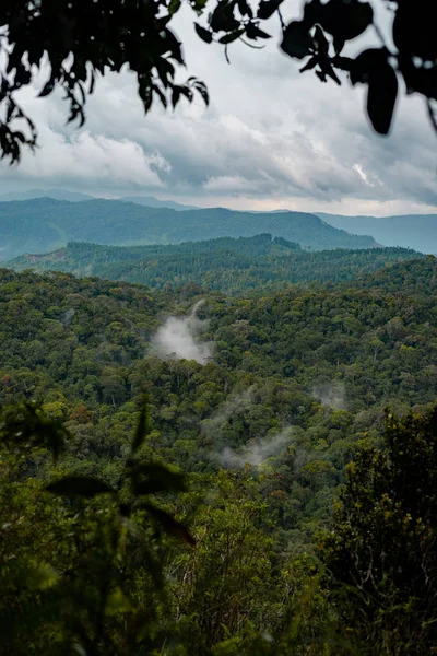 Sinharaja reserva natural floresta tropical, Sri Lanka. Vista do topo da montanha para a floresta . — Fotografia de Stock