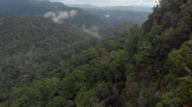 Sinharaja yağmur ormanı doğa rezerv günbatımı dağlar orman eski orman Sri Lanka havadan görünümü