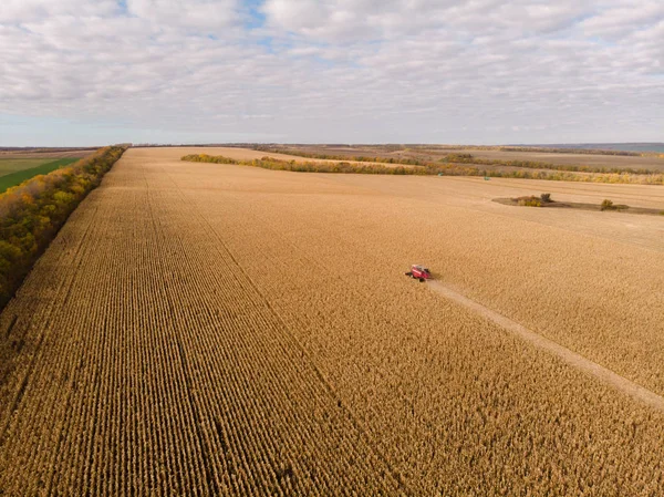 Campo de maíz cosecha otoño tiro desde el aire —  Fotos de Stock