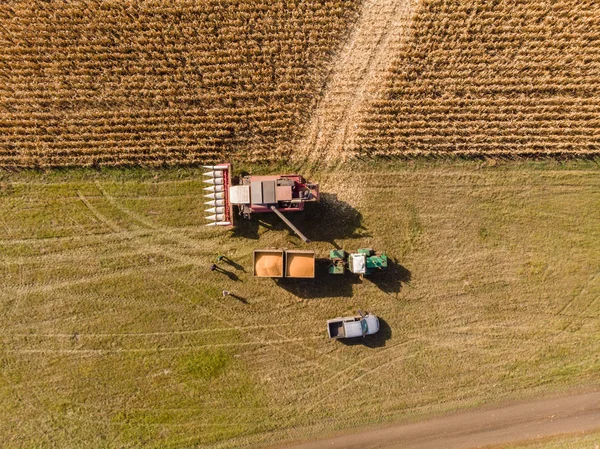 Harvesting Corn in Fall skyline Aerial, Shooting from air — Stock Photo, Image