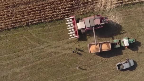Збирання кукурудзи восени Повітряний вид. Стрілянина з повітря — стокове відео