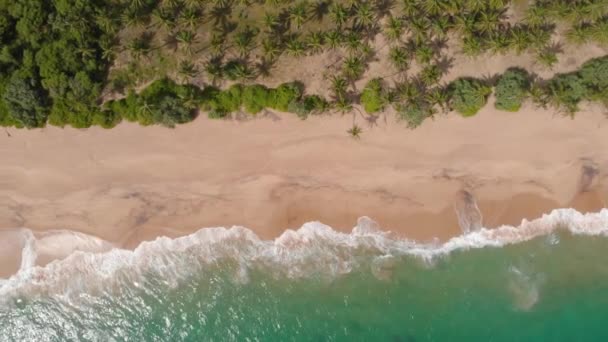 Desertado Oceano Índico Praia Sri Lanka Aerial Shot — Vídeo de Stock