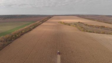 Sonbahar manzarası anteni, havadan çekim mısır hasat