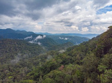 Sinharaja yağmur ormanı doğa rezerv günbatımı dağlar orman eski orman Sri Lanka havadan görünümü