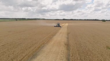 Buğday tarlasını hasat eden ekin biçme makinesini birleştirin. Tarım. Hava görüntüsü. Yukarıdan.