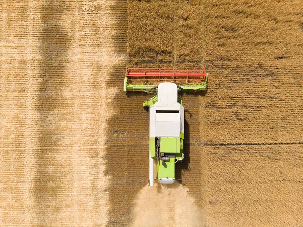 Memanen gandum di musim panas. Gabungan mesin pertanian pemanen mengumpulkan gandum matang emas di lapangan. Lihat dari atas . — Stok Foto